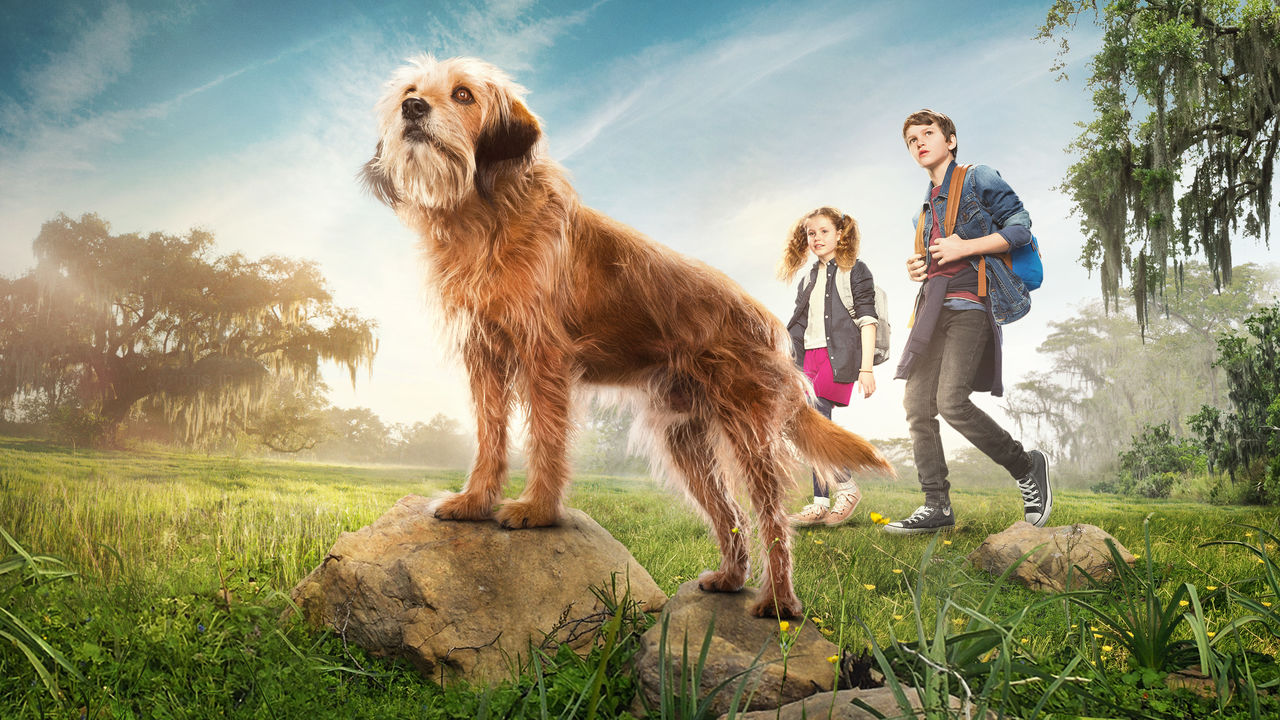 Netflix 'Benji' Reboot's Darby Camp on Her Iconic Four ...