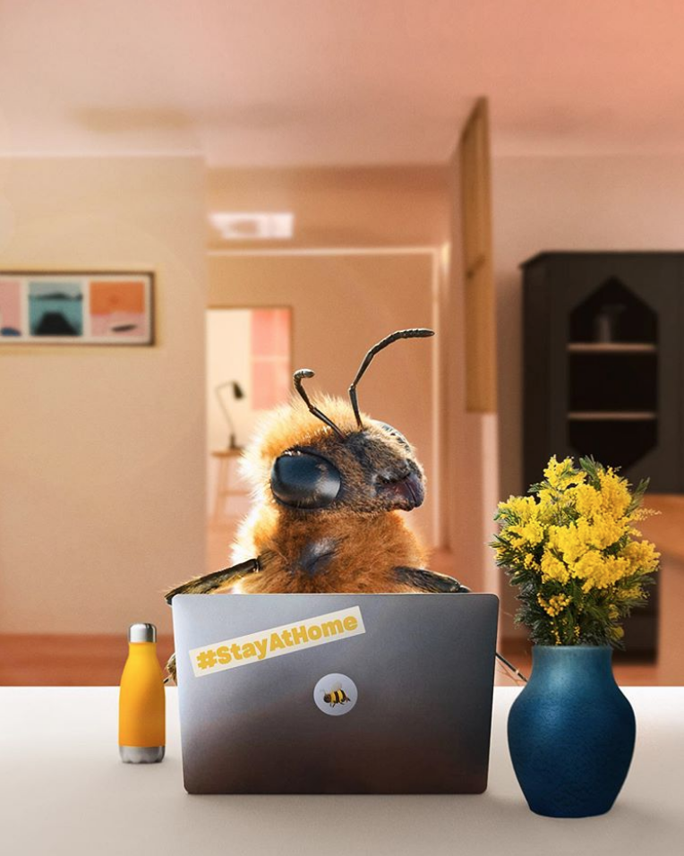 Bee influencer